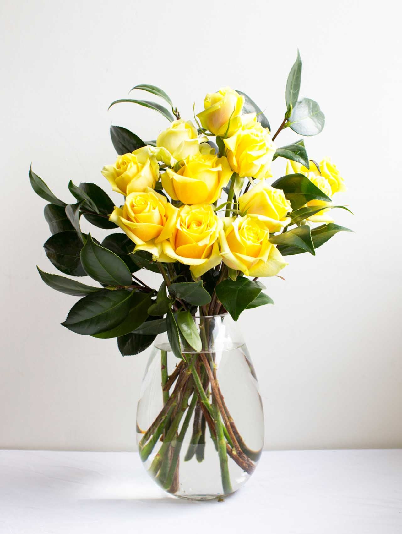 Yellow Roses